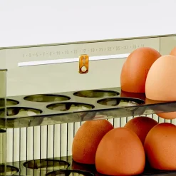 GigiandTom Acrylic Kitchen Egg Holder* Pantry & Fridge Storage